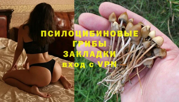 дурь Богородицк
