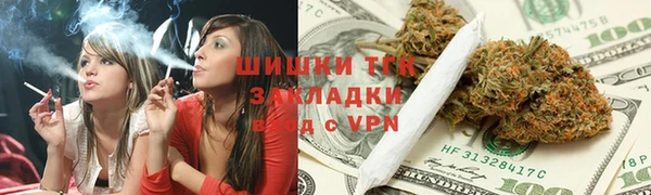 индика Баксан