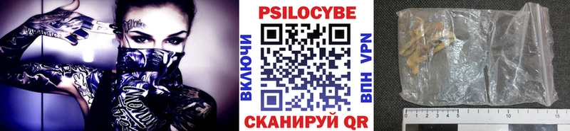 Галлюциногенные грибы Psilocybine cubensis  Купить  Сенгилей 